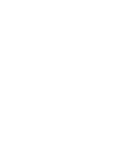 Big Wall logo